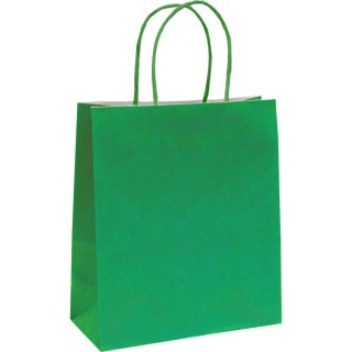 Eco Kraft Medium Gift Bag Green