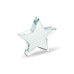 Glass star award STARWARD MO2660-22