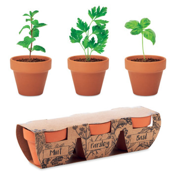 Set 3 zeliščnih lončkov Terracotta MO6145-40